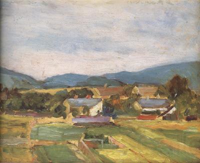 Egon Schiele Landscape in Lower Austria (mk12) Spain oil painting art